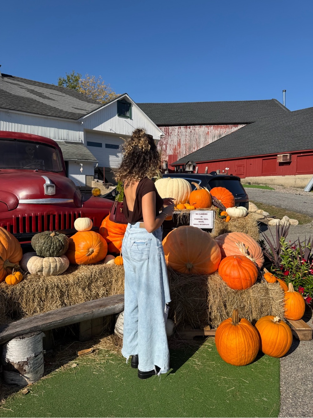 American Eagle jeans